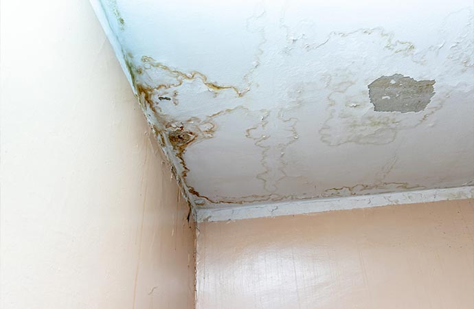 white peeling celing water leak damage and mold growth