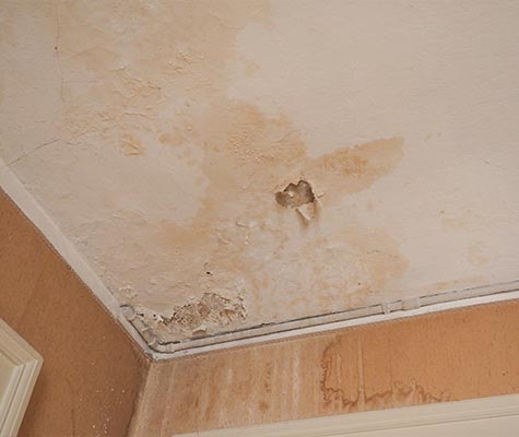 Damaged ceiling in the home