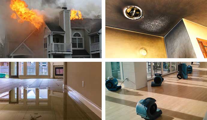 Damage Restoration Expert in Hayward, CA