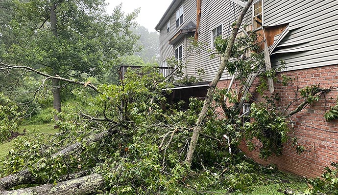 Storm damaged house with fallen tree