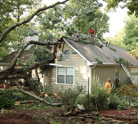 Damages After Storms