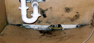 Mold damage from sink overflow