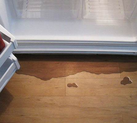 Refrigerator Leakage