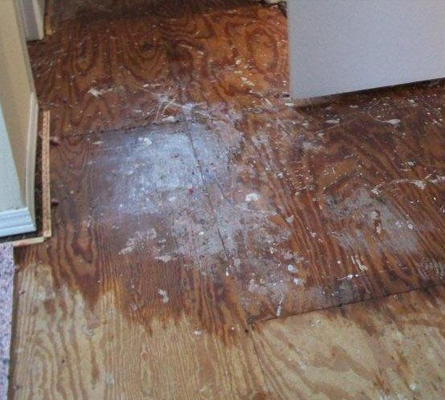 Water Damage Classification