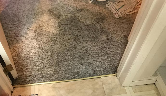 Water damaged carpet