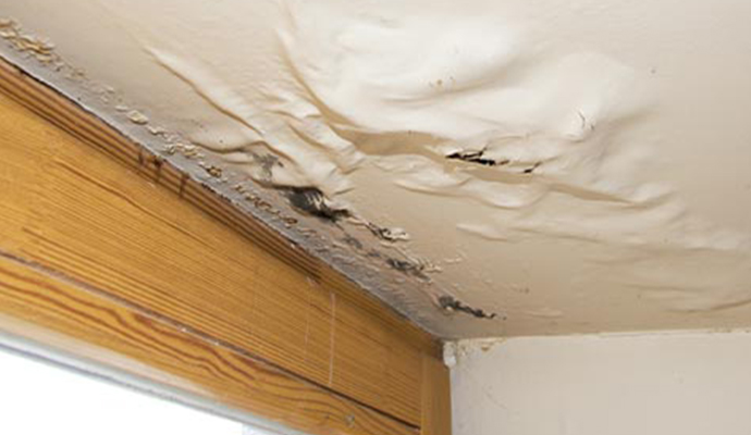 Water damaged ceiling
