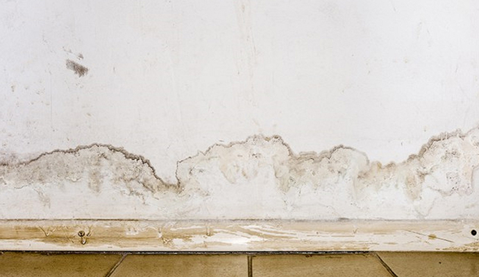 Water damaged drywall