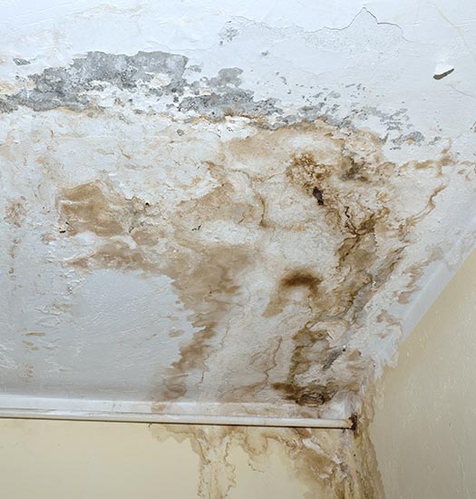 Water stained ceiling