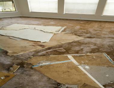 water damage includes plaster and carpet