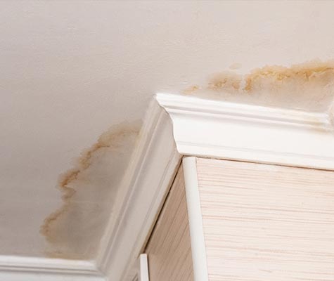 Water leak damage on the white ceiling in your house